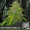 Auto Purple Gorilla