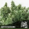 Auto Stardawg