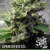 Spanish Diesel