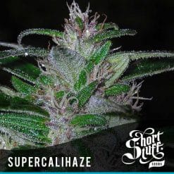 Super Cali Haze