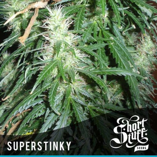 Super Stinky