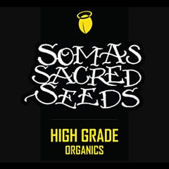 Soma Seeds