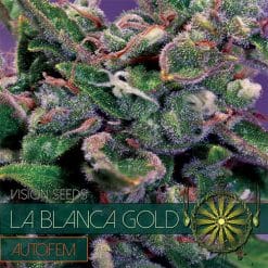 La Blanca Gold Auto