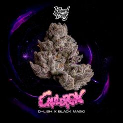 Cauldron